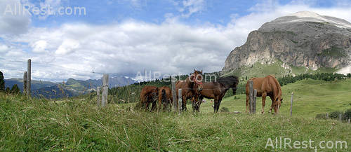 Hotel Saltria Mountain Resort 47